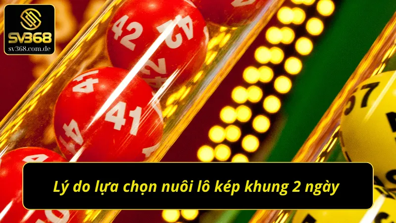 Các lợi ích khi lựa chọn lô kép nuôi khung 2 ngày