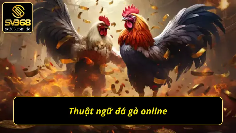 Các thuật ngữ đá gà quan trọng nhất trong đá gà trực tuyến